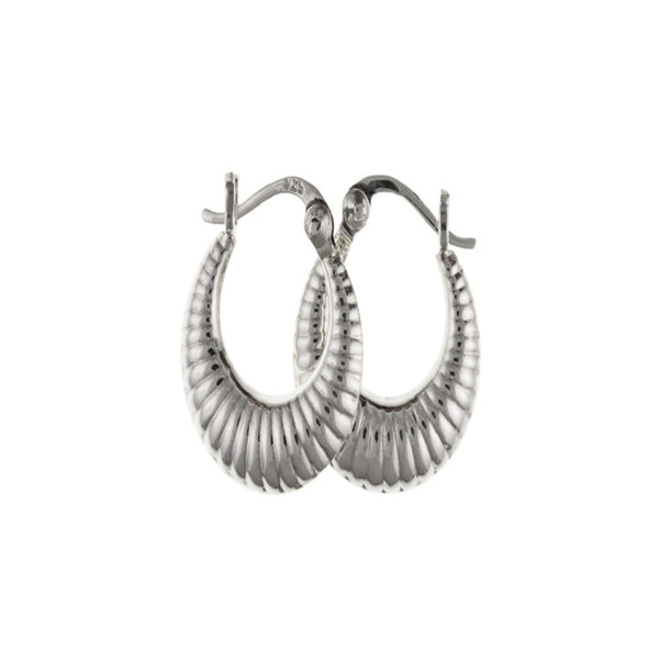 Silver Ridged Creole