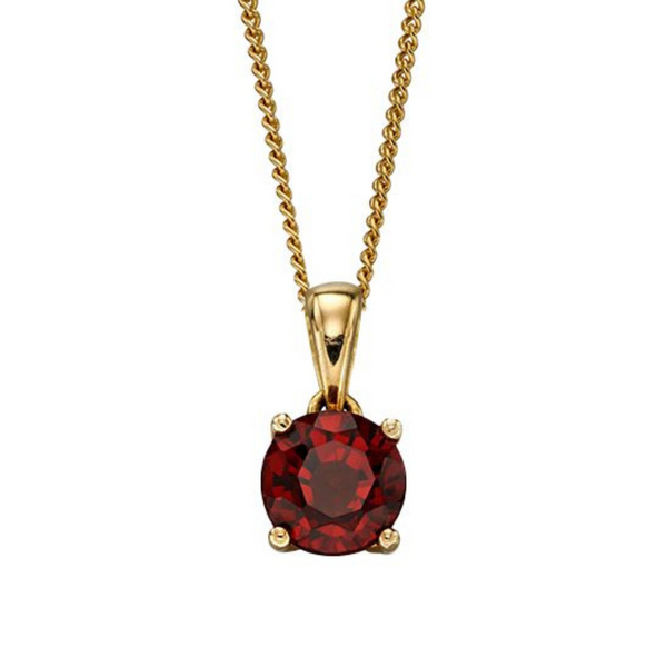 January Birthstone Necklace - 9ct Yellow Gold
